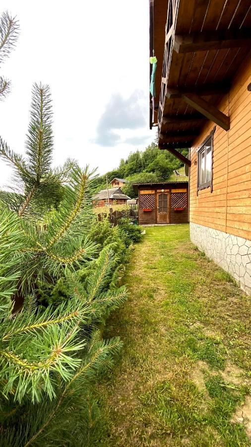 Котедж Віадук Vorokhta Exterior foto